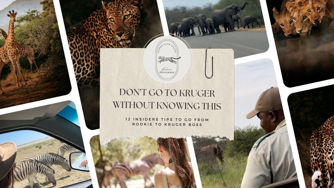 Don't go to Kruger National Park without knowing this - 12 Insiders tips to go from Rookie to Kruger Boss