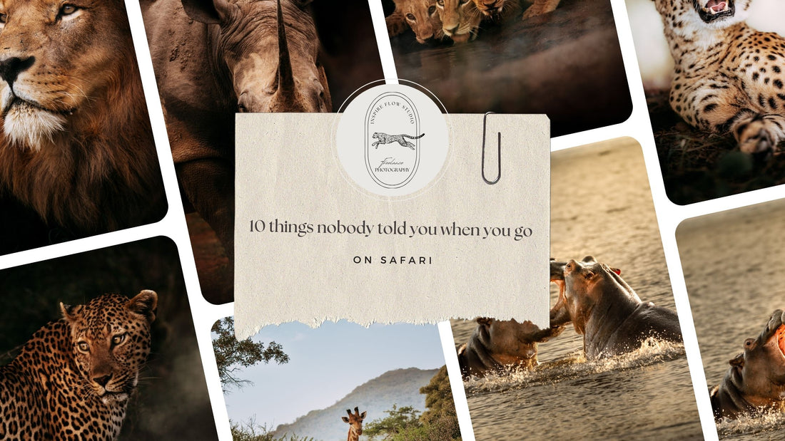 10 things nobody told you when you go on Safari