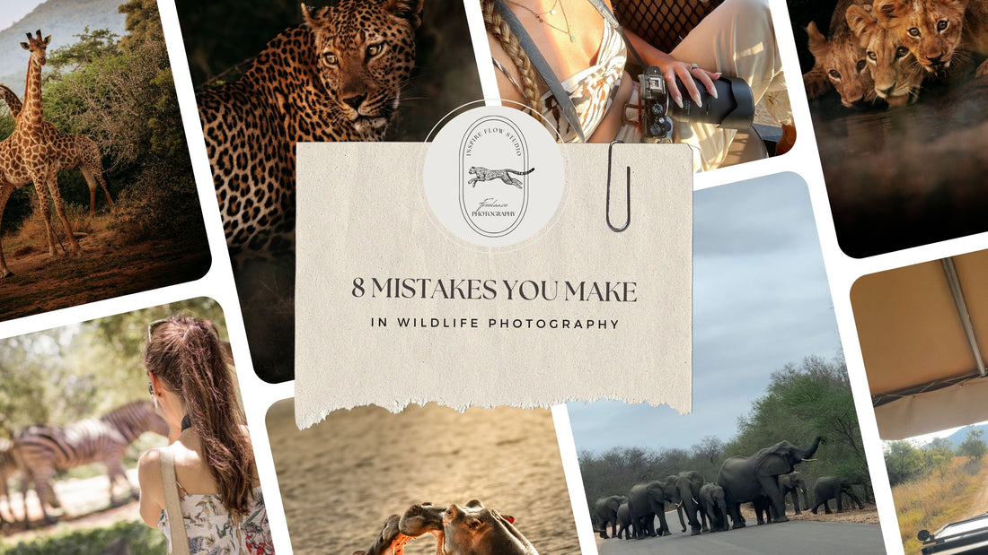8 Mistakes you make with Wildlife Photography