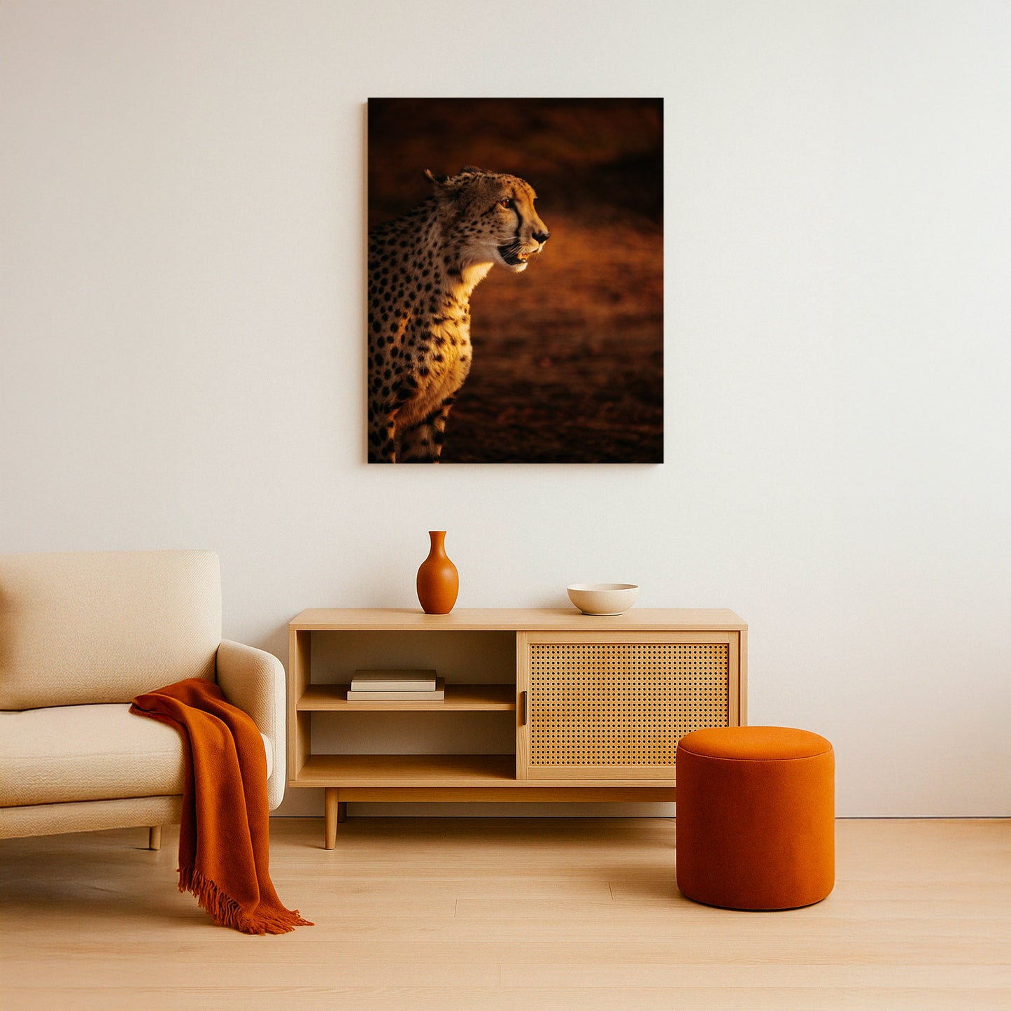 Sight of the Cheetah