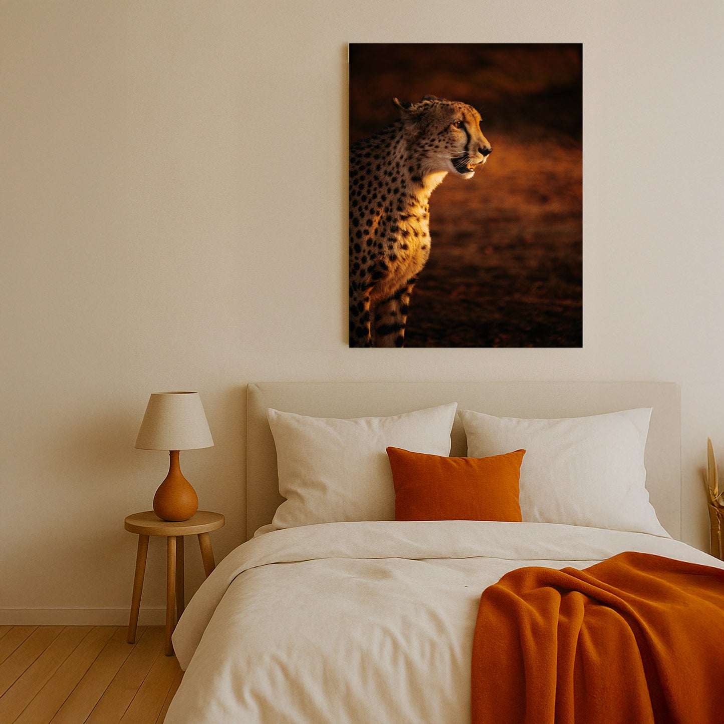 Sight of the Cheetah