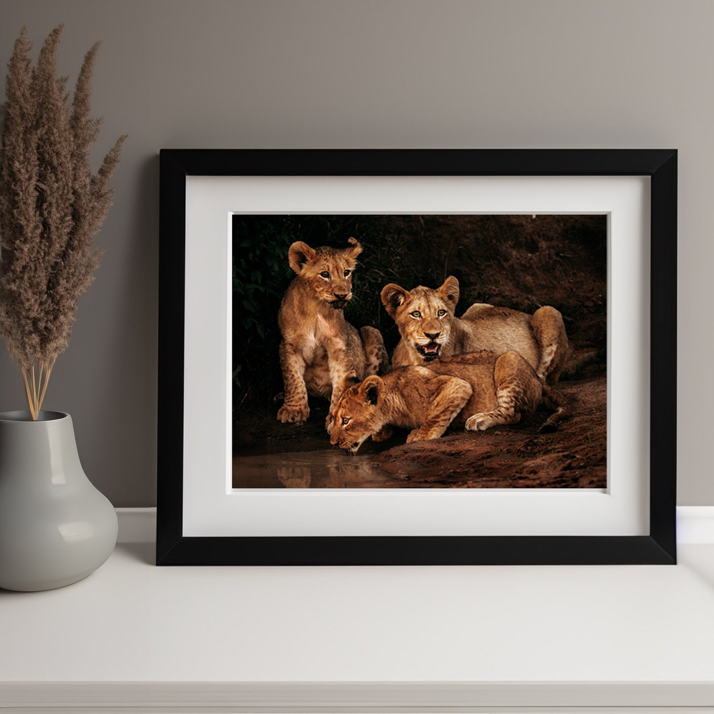 Lion Cubs at Dusk - African Wildlife Photography Print