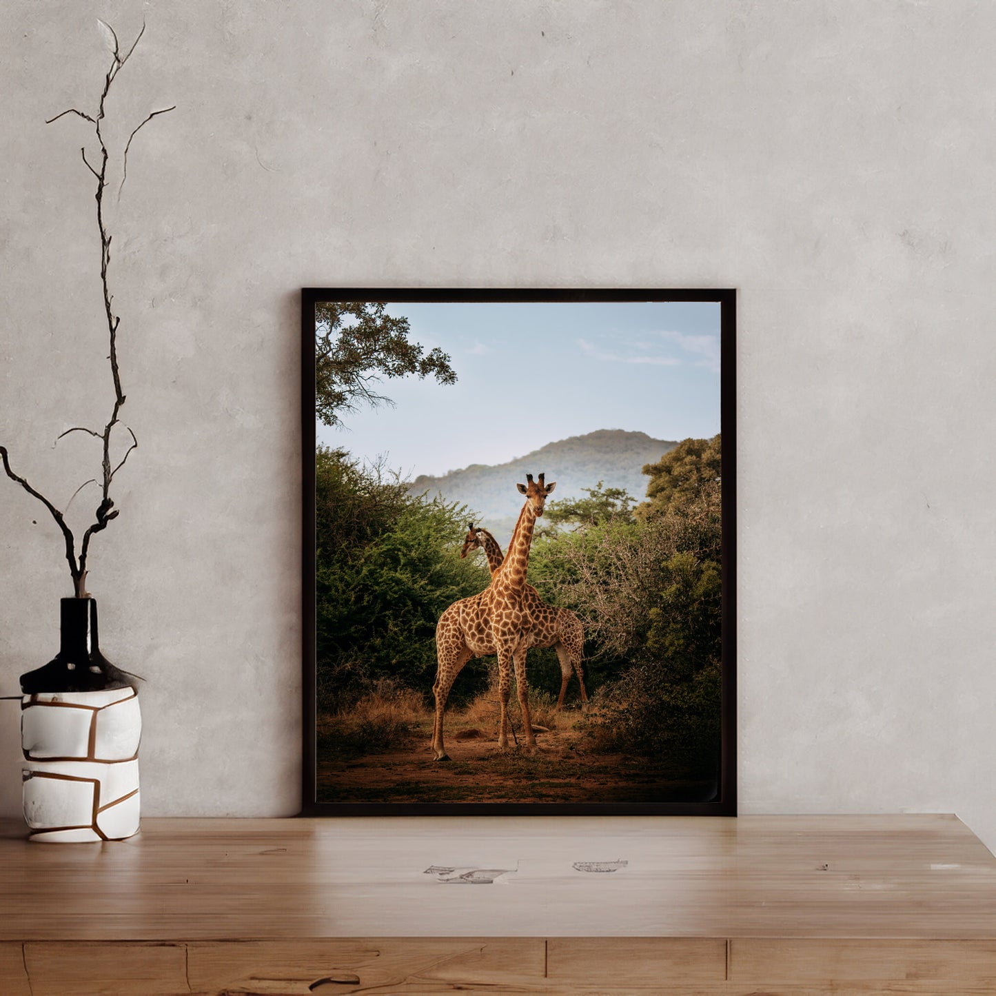 Giraffes in Stormy Morning Light - African Wildlife Photography Print
