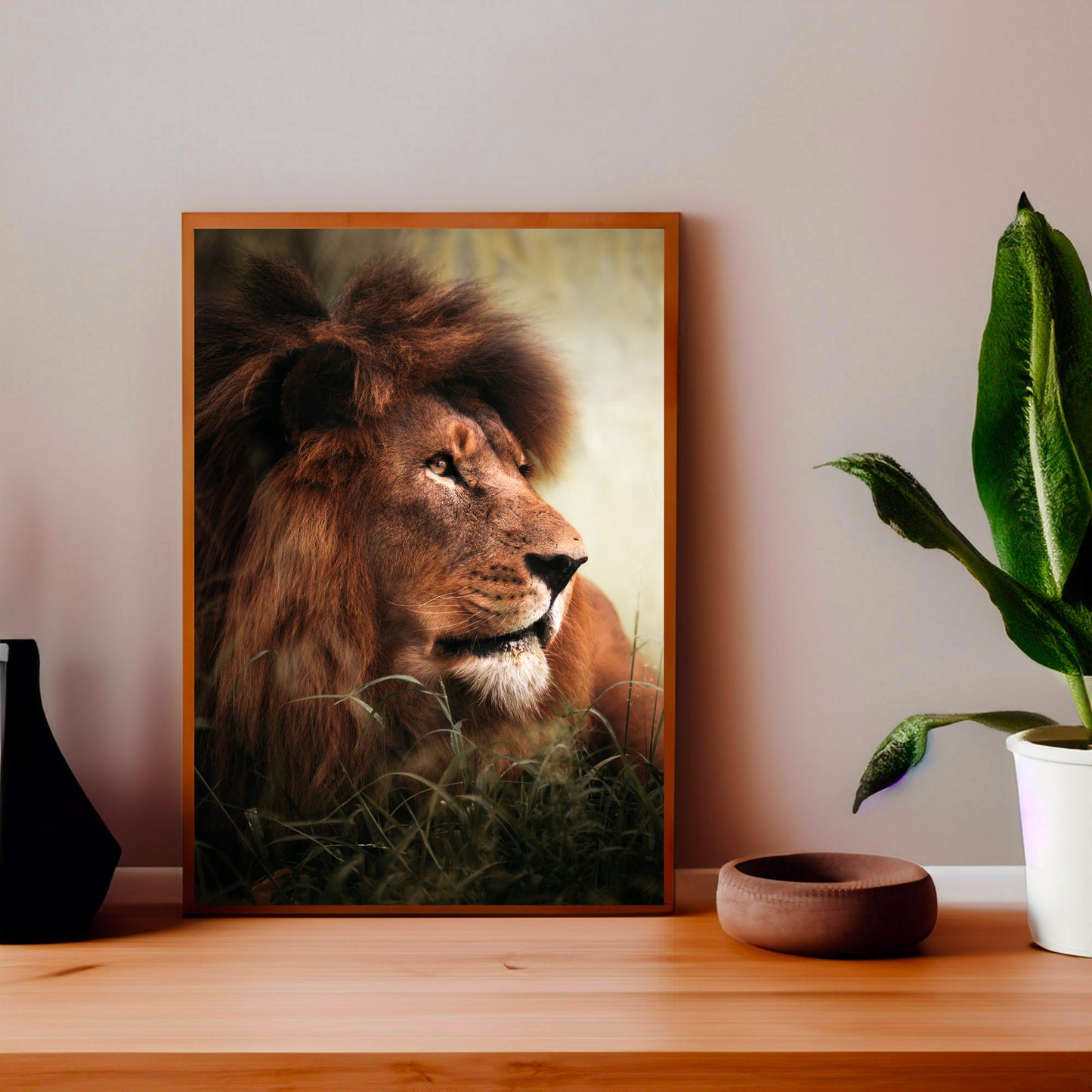 Lion - African Wildlife Photography Print