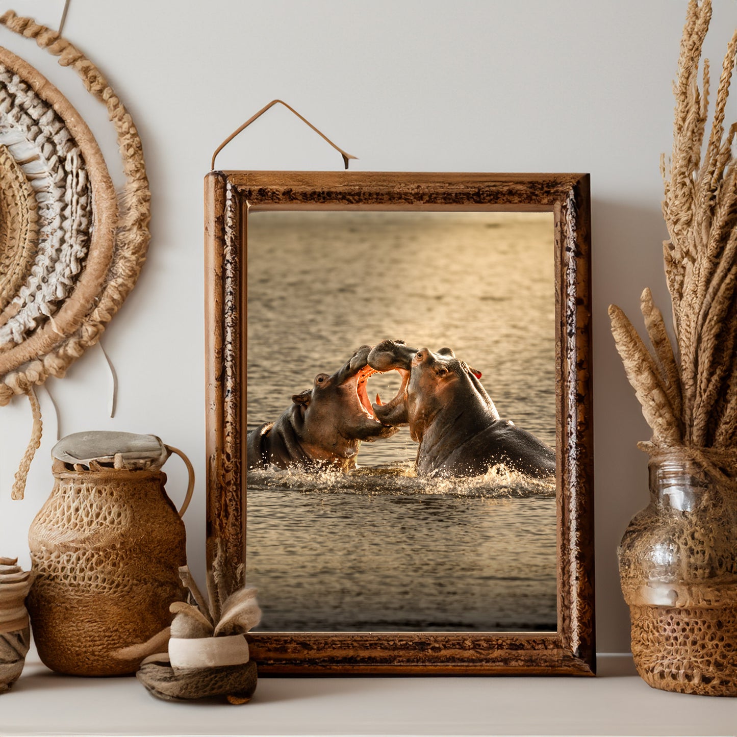 Hippos at Golden Hour - African Wildlife Photography Print
