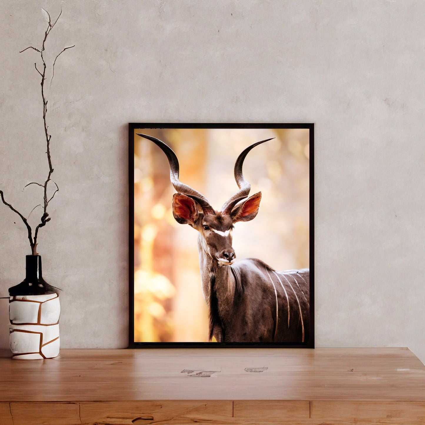 Kudu - African Wildlife Photography Print