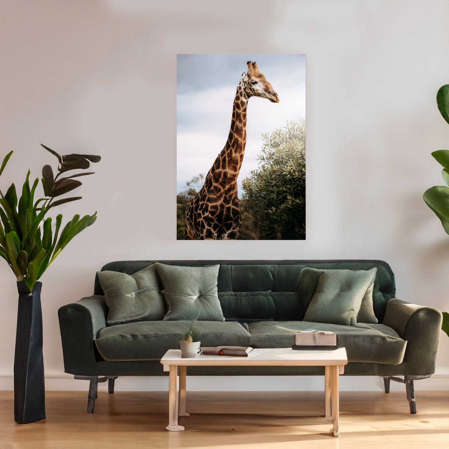 Giraffe - African Wildlife Photography Print