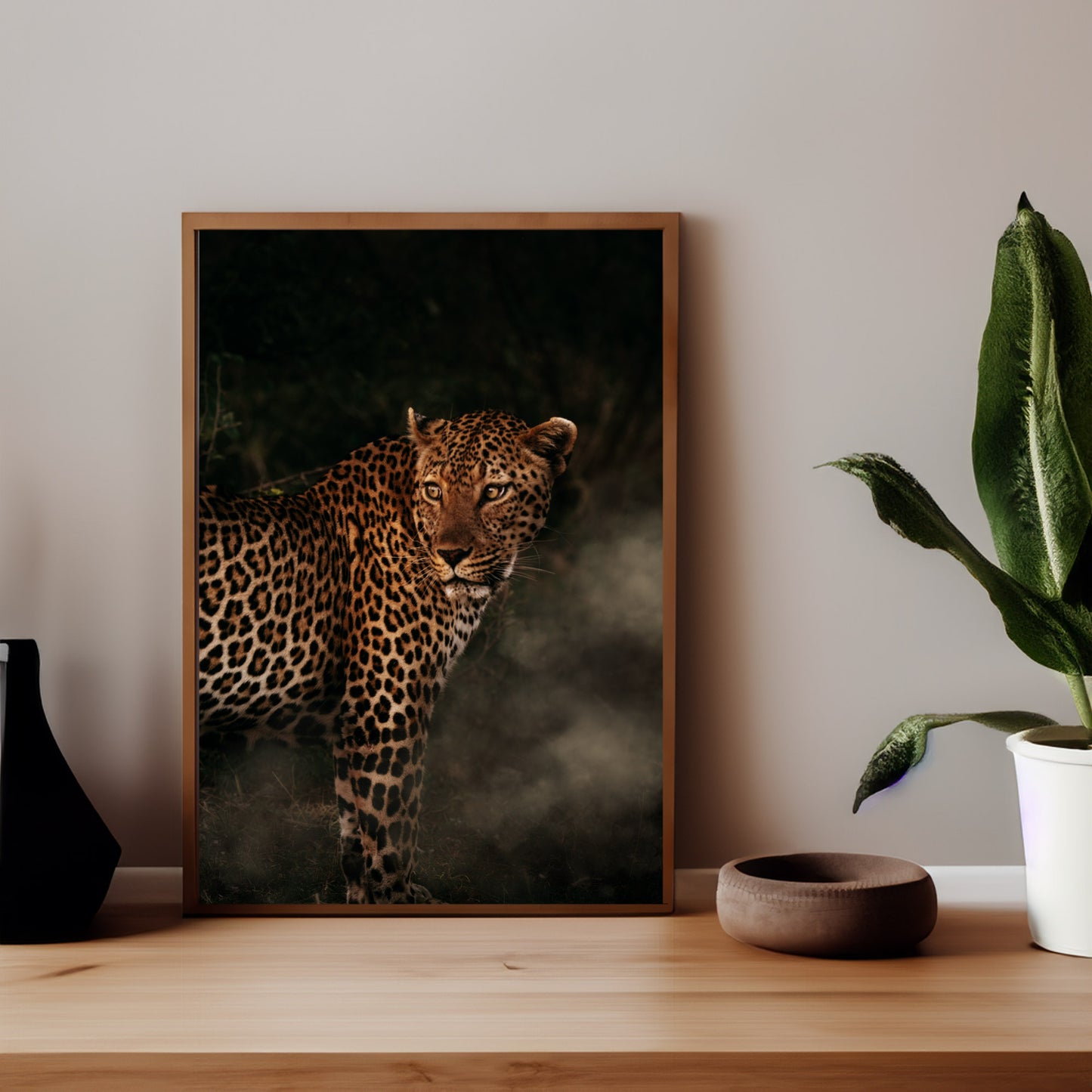 Leopard in Golden light - African Wildlife Photography Print